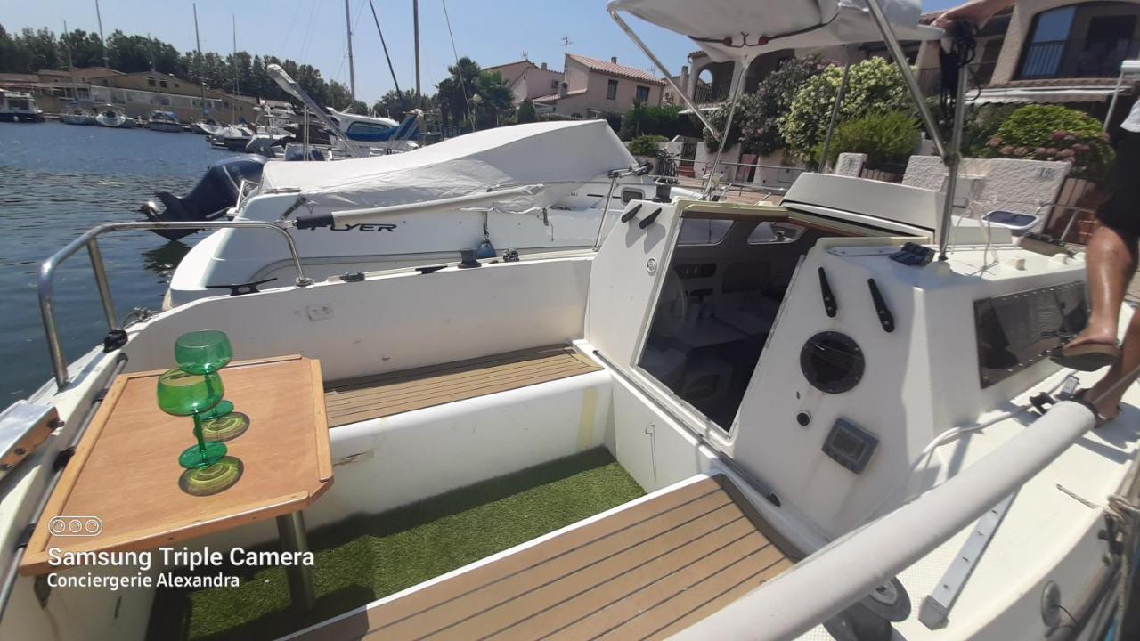 Nuit Insolite A Bord De L'Enata Un Voilier A Quai Sur La Marina De St Cyprien Saint-Cyprien  Bagian luar foto