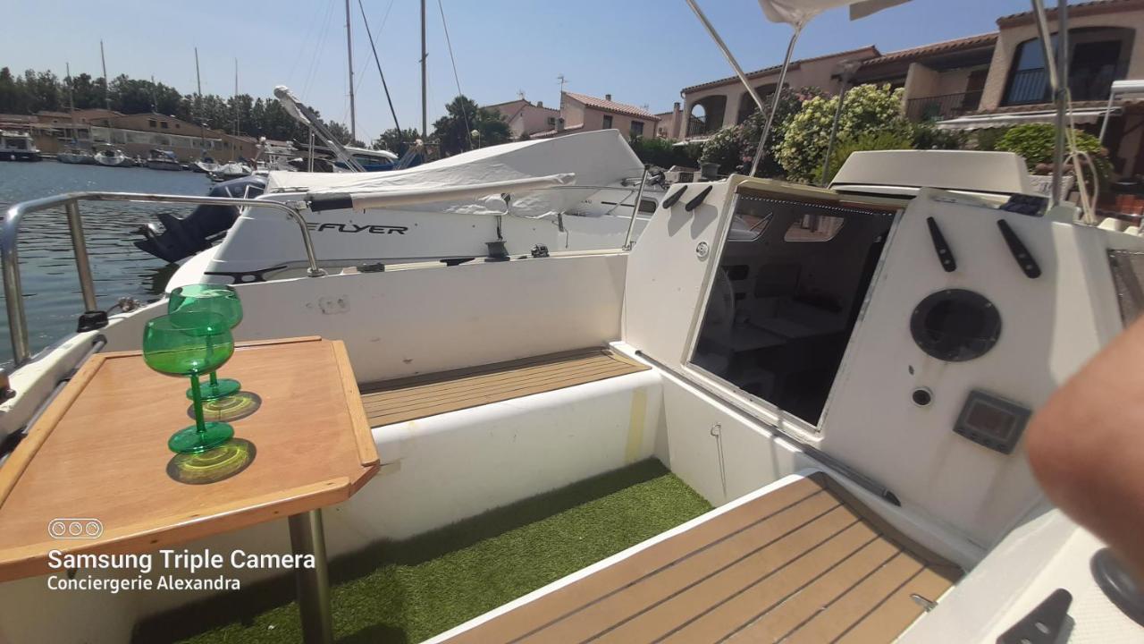 Nuit Insolite A Bord De L'Enata Un Voilier A Quai Sur La Marina De St Cyprien Saint-Cyprien  Bagian luar foto